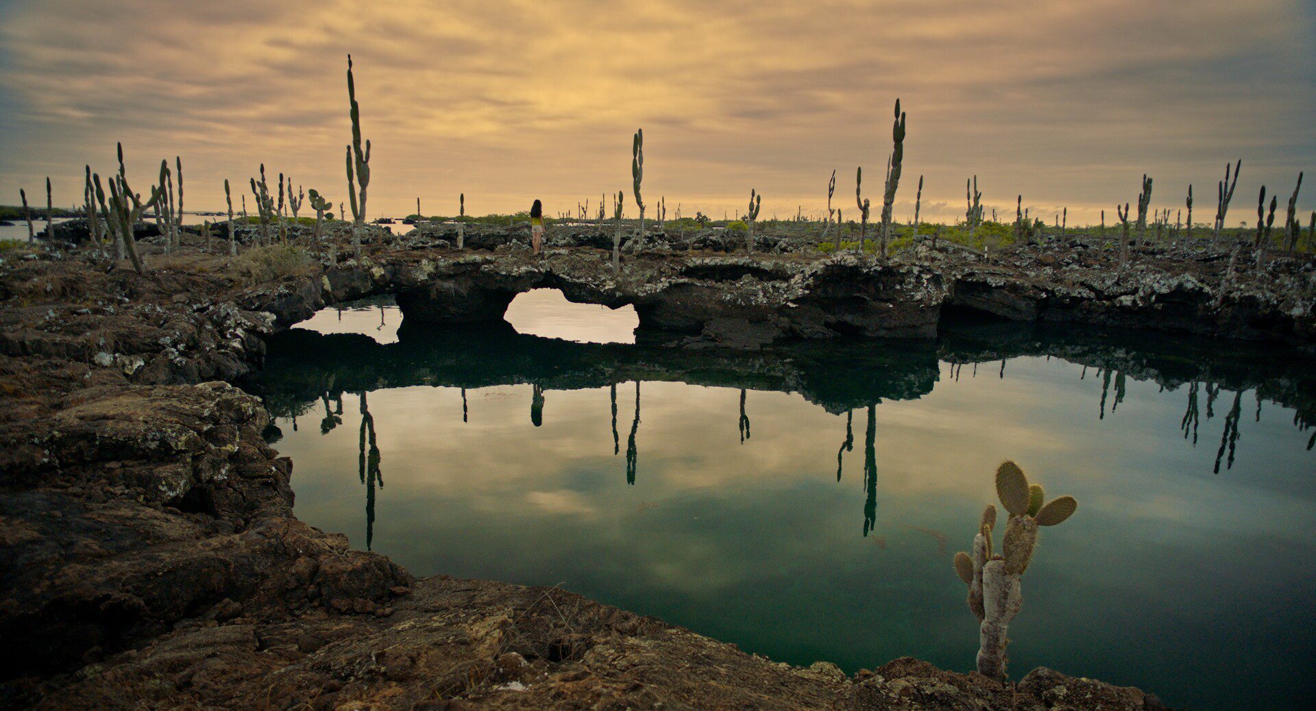 Οι ταινίες του Φεστιβάλ Ολυμπίας μάς ταξιδεύουν από τη μια άκρη του κόσμου στην άλλη