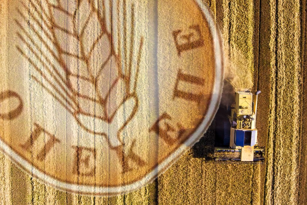 Σκάνδαλο ΟΠΕΚΕΠΕ: «Να ελεγχθούν εάν επιδοτούνταν και είχαν χασισοφυτείες»