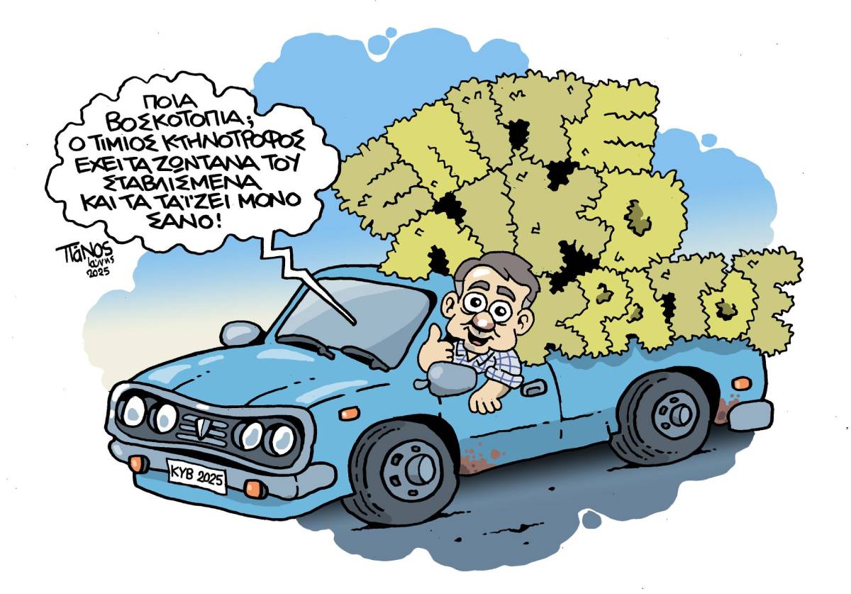 Επιτελικό… σανό