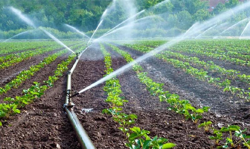 “Καμπανάκι» από τον πρόεδρο του ΓΟΕΒ Αλφειού- Πηνειού για τα χαμηλά αποθέματα στο φράγμα Πηνειού