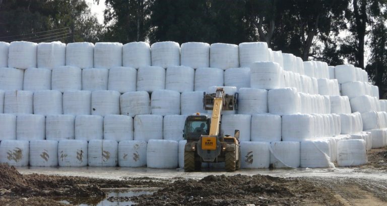Δήμος Πύργου: Πράσινο φως από το Δ.Σ. του ΦΟΔΣΑ για τη μεταφορά των δεμάτων σκουπιδιών από το Ποτόκι στην Τριανταφυλλιά