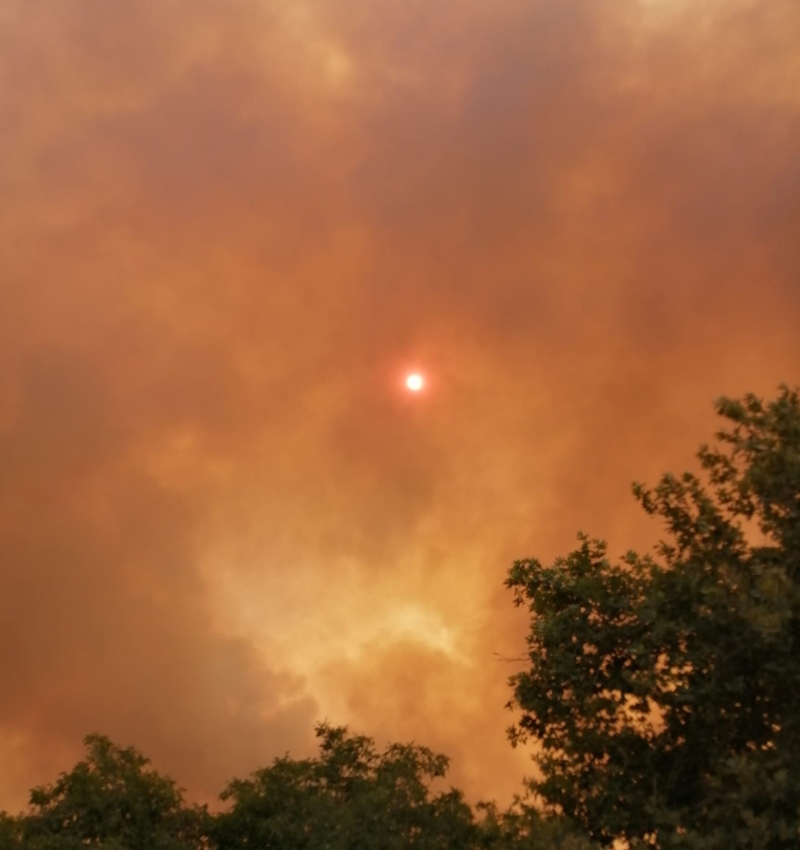 Π.Δ.Ε.: Πολύ υψηλός κίνδυνος πυρκαγιάς την Τρίτη σε περιοχές της Δυτικής Ελλάδας