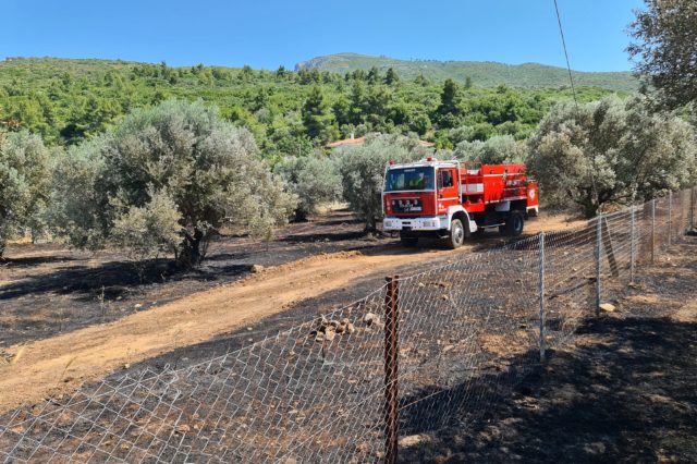 Καθαρισμός οικοπέδων: Ανακοινώθηκε παράταση στην προθεσμία