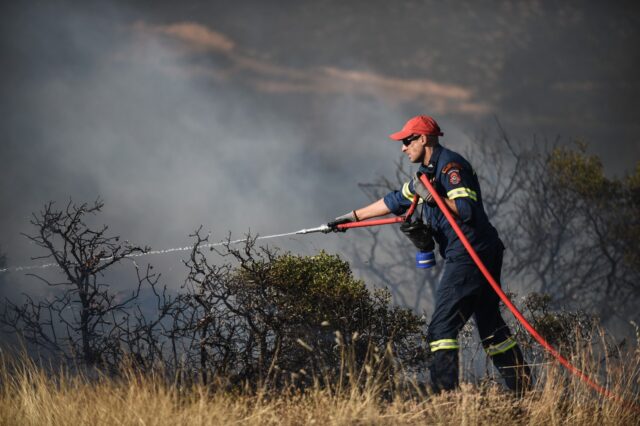 Ηλεία: Νέα πυρκαγιά στην Ήλιδα – Μεγάλη επιχείρηση της πυροσβεστικής