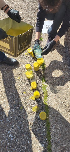 2ο Γυμνάσιο Πύργου: Οι μαθητές/τριες του προγράμματος Περιβαλλοντικής Εκπαίδευσης παρασκευάζουν σαπούνι από τηγανέλαιο