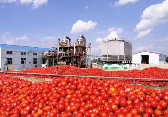 «Η Ο.Π. Αμαλιάδας κινδυνεύει με λουκέτο!»