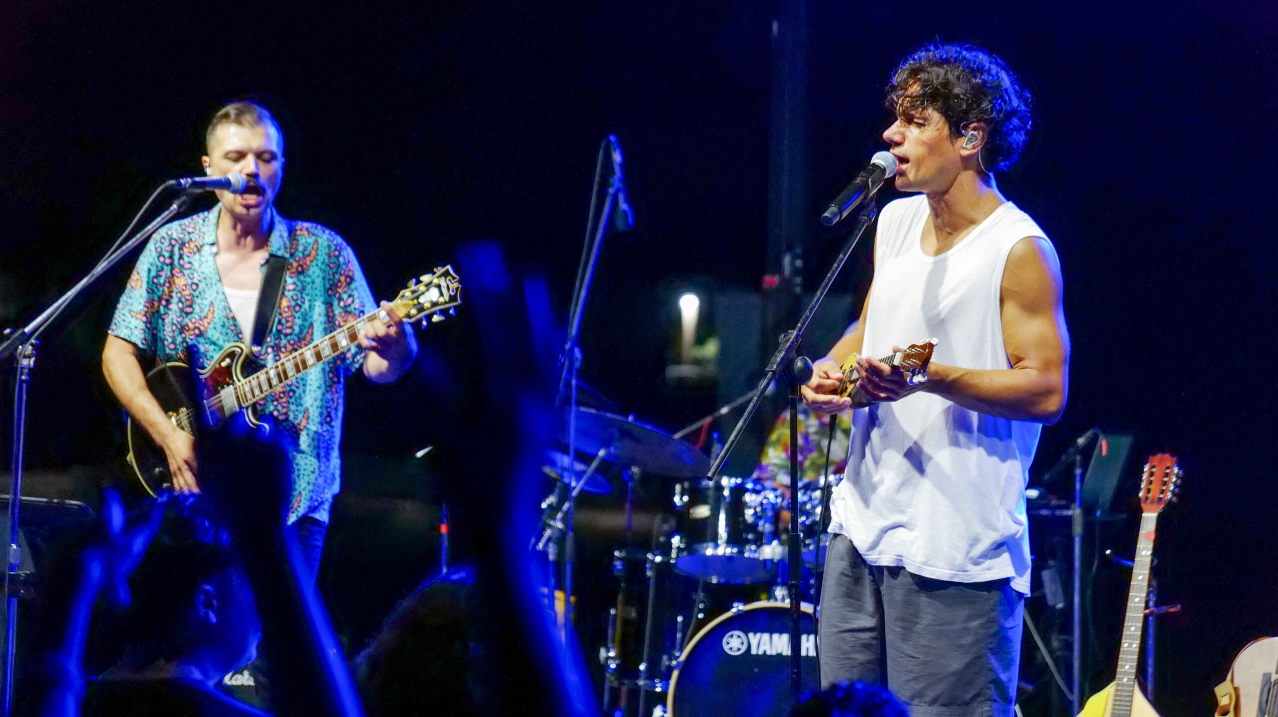 Μια αξέχαστη βραδιά με τον Πάνο Βλάχο στην Κρέστενα!