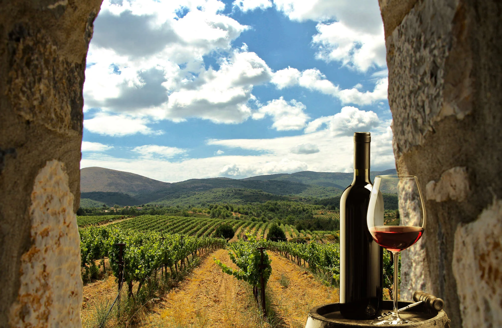 «Ανοιχτές Πόρτες» σε πέντε Οινοποιεία της Ηλείας