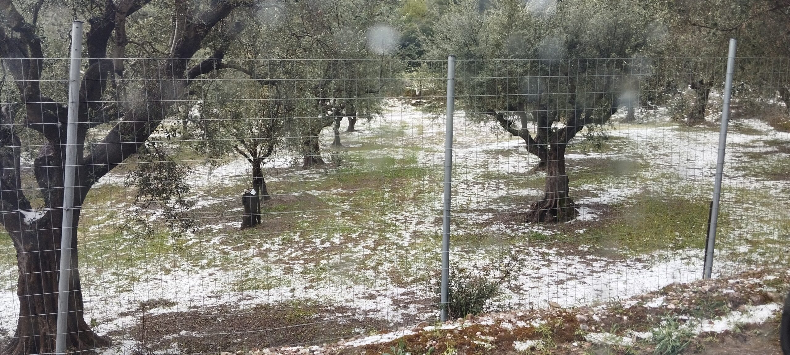 Επιστολή Βαλιανάτου σε Τσιάρα για τρέχοντα σοβαρά αγροτικά προβλήματα της Ο.Π. Αμαλιάδας 