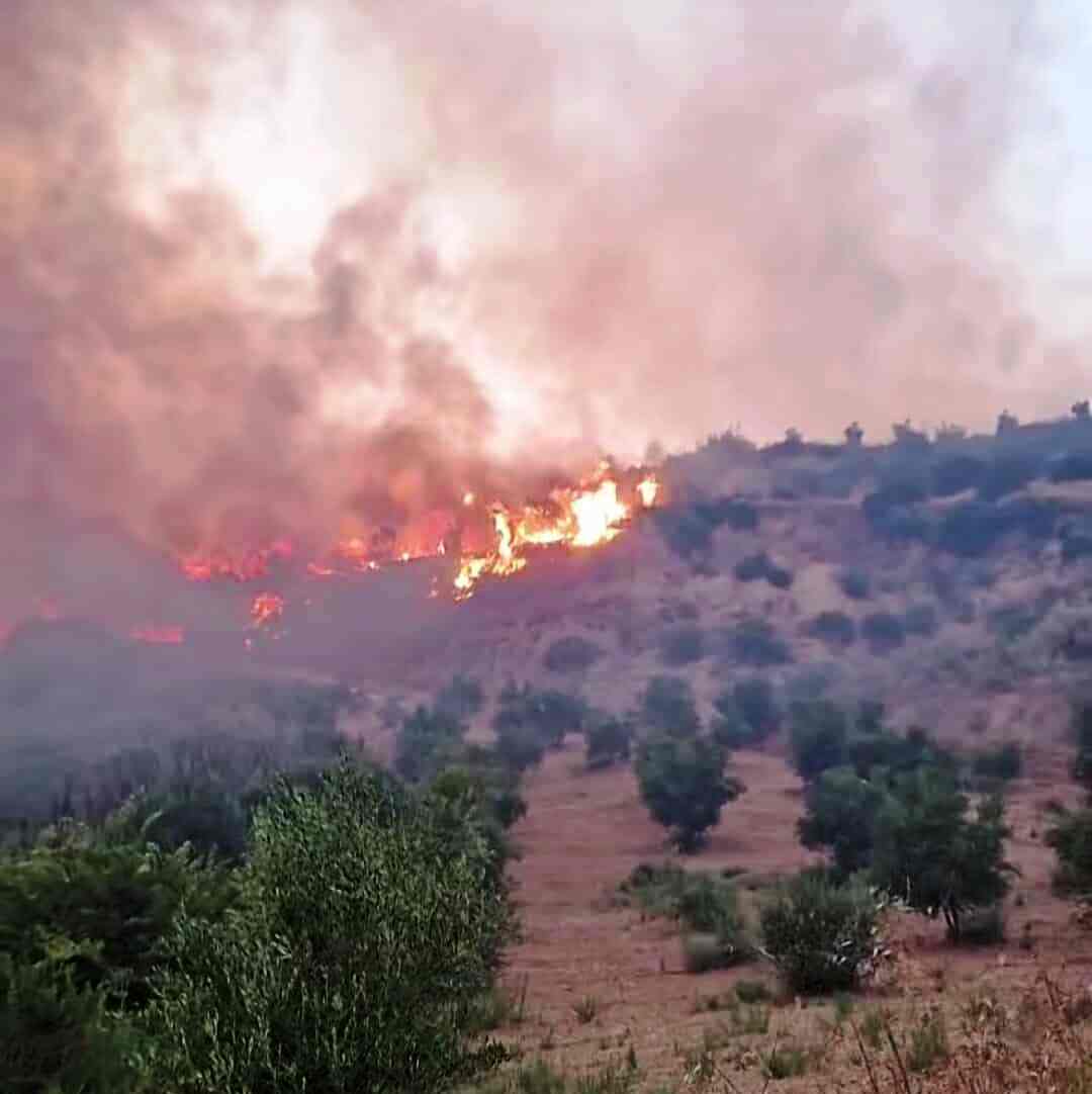 Φωτιά στο Χελιδόνι Αρχαίας Ολυμπίας – Εκκενώνονται πέντε οικισμοί [videos]