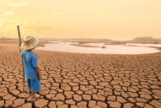 Το μήνυμα του Αμαζονίου
