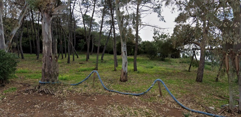 Δασάρχης Πύργου: «Πρόσω ολοταχώς για το ANTINERO 4» 