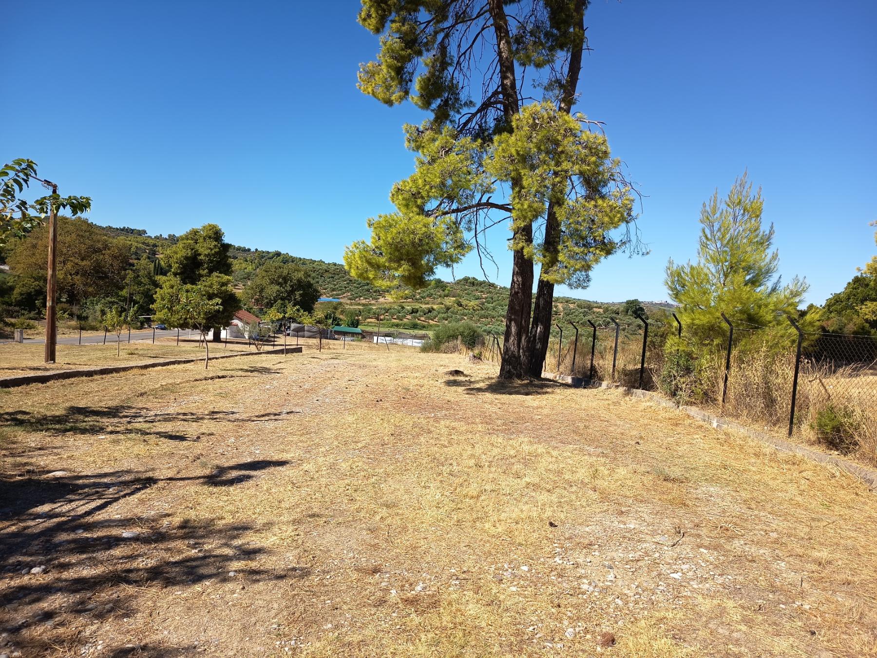 Δήμος Πύργου: Ξεκινά σήμερα η εμποροπανήγυρη Βάραγκα