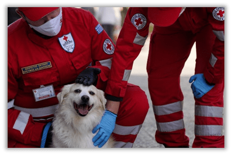 Ο Ελληνικός Ερυθρός Σταυρός- Περιφερειακό Τμήμα Πύργου  διοργανώνει δράση για τους τετράποδους φίλους μας στην Πλατεία Σάκη Καράγιωργα (26/8)