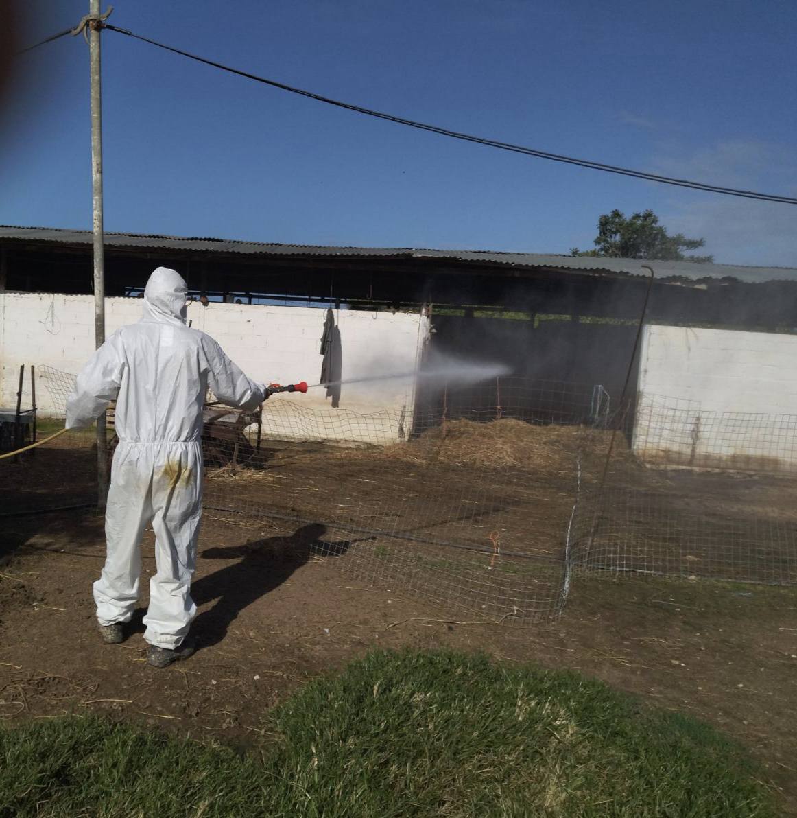 Ανακοίνωση προς τους Κτηνοτρόφους του Δήμου Ανδραβίδας-Κυλλήνης: Λειτουργία σταθμού απολύμανσης