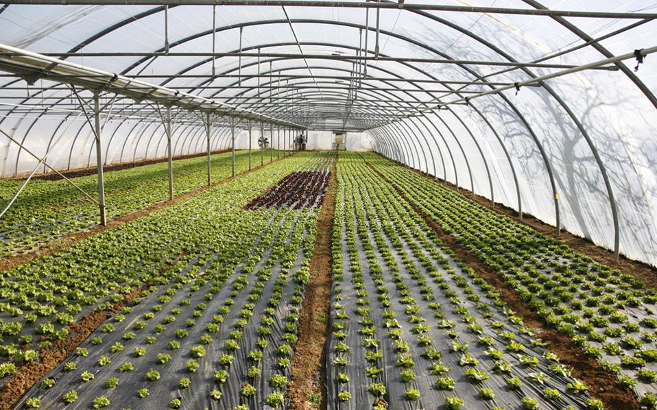 Παράταση ως 11 Νοέμβρη για τα Θερμοκήπια