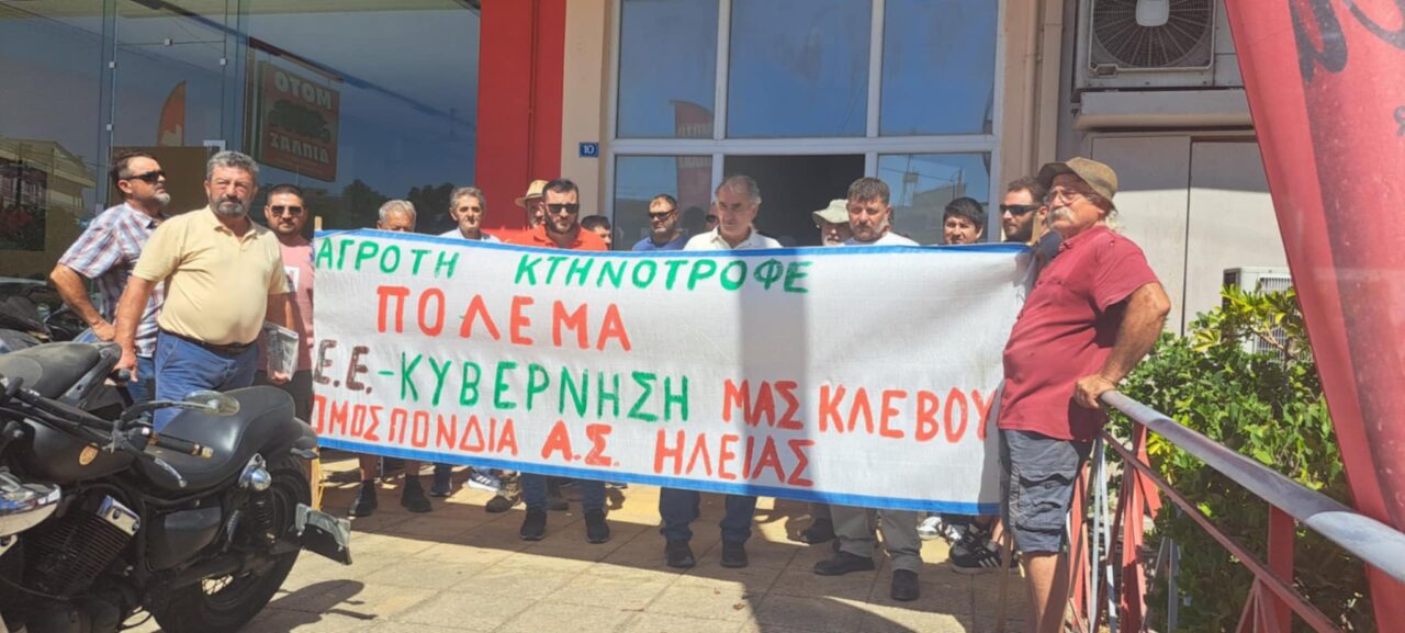 Νέα παράσταση διαμαρτυρίας χθες της ΟΑΣΗ στον ΟΠΕΚΕΠΕ και στην ΠΕ Ηλείας 