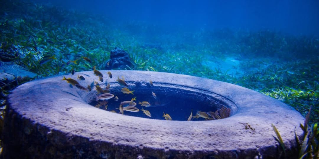 Ημερίδα για το πρόβλημα ρύπανσης των ακτών της Ηλείας