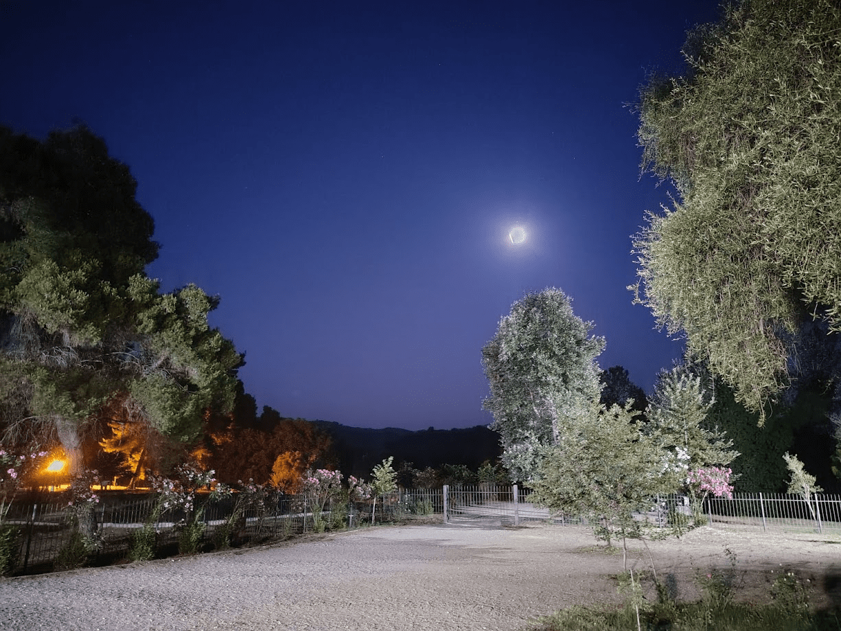 Ανακοίνωση Ματαίωσης Εκδήλωσης Αυγουστιάτικης Πανσελήνου στην Ολυμπία