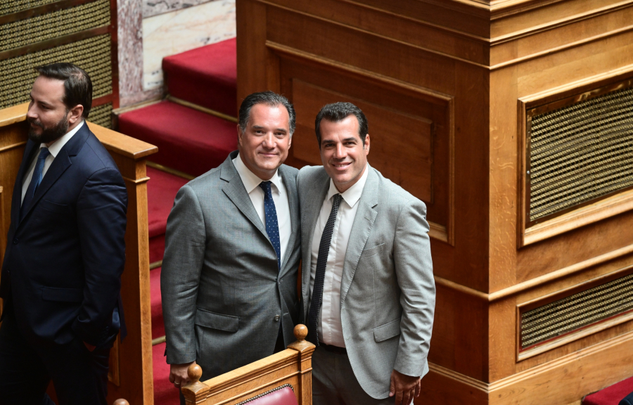 «Αντιδυτικά και αριστεροκρατούμενα» – Αδιανόητες δηλώσεις Άδωνι και Πλεύρη για Διεθνή Αμνηστία και Δικαστήριο της Χάγης