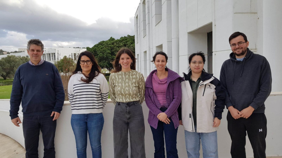 Έλληνες επιστήμονες φέρνουν στο φως νέο μηχανισμό αντίστασης των κουνουπιών