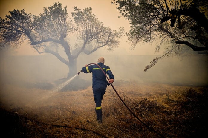 Προδιαγεγραμμένη καύση: Το νέο «όπλο» κατά των πυρκαγιών και πώς θα εφαρμοστεί στην Ελλάδα