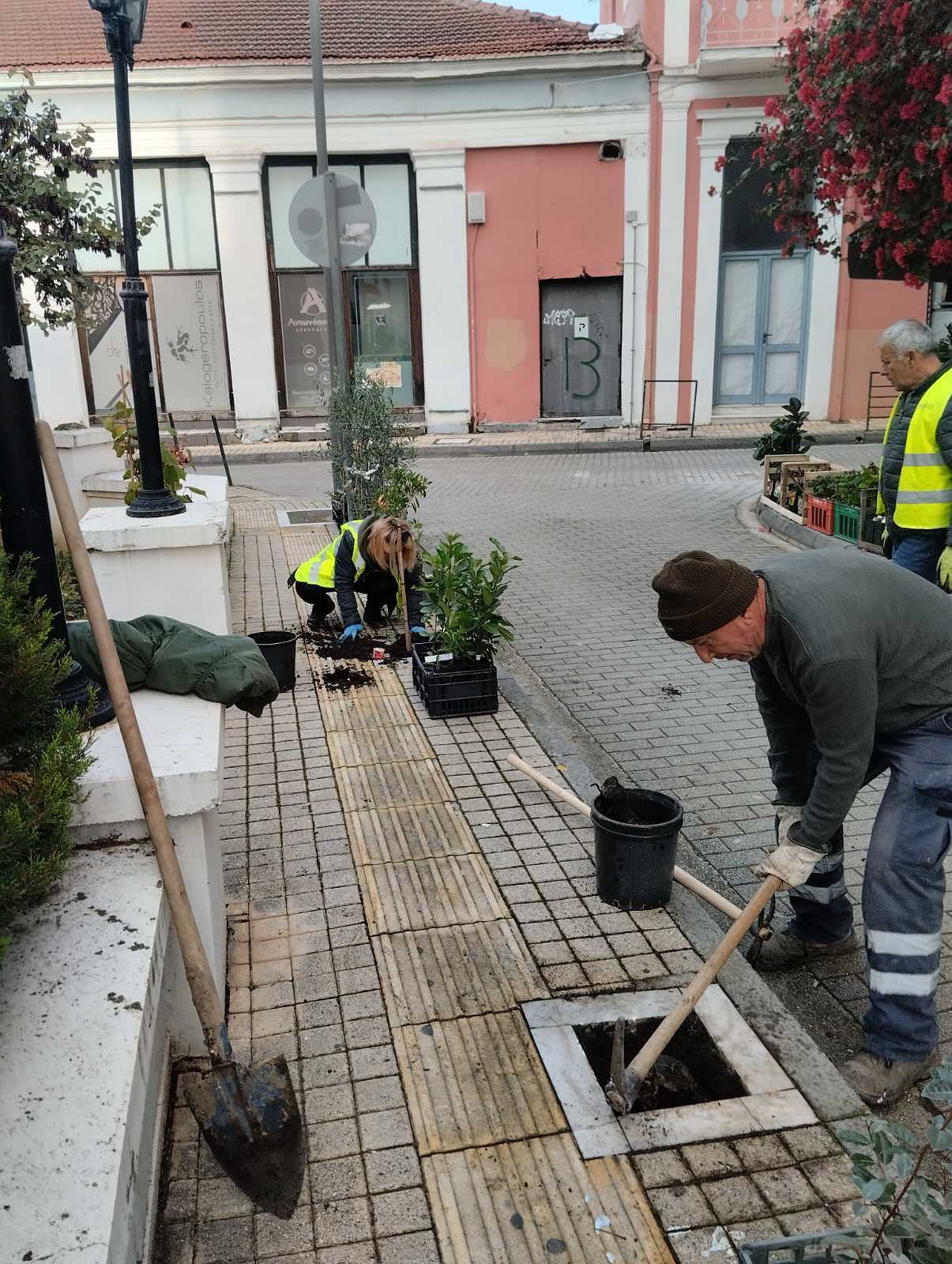 Νέες φυτεύσεις δέντρων σε γειτονιές της πόλης του Πύργου