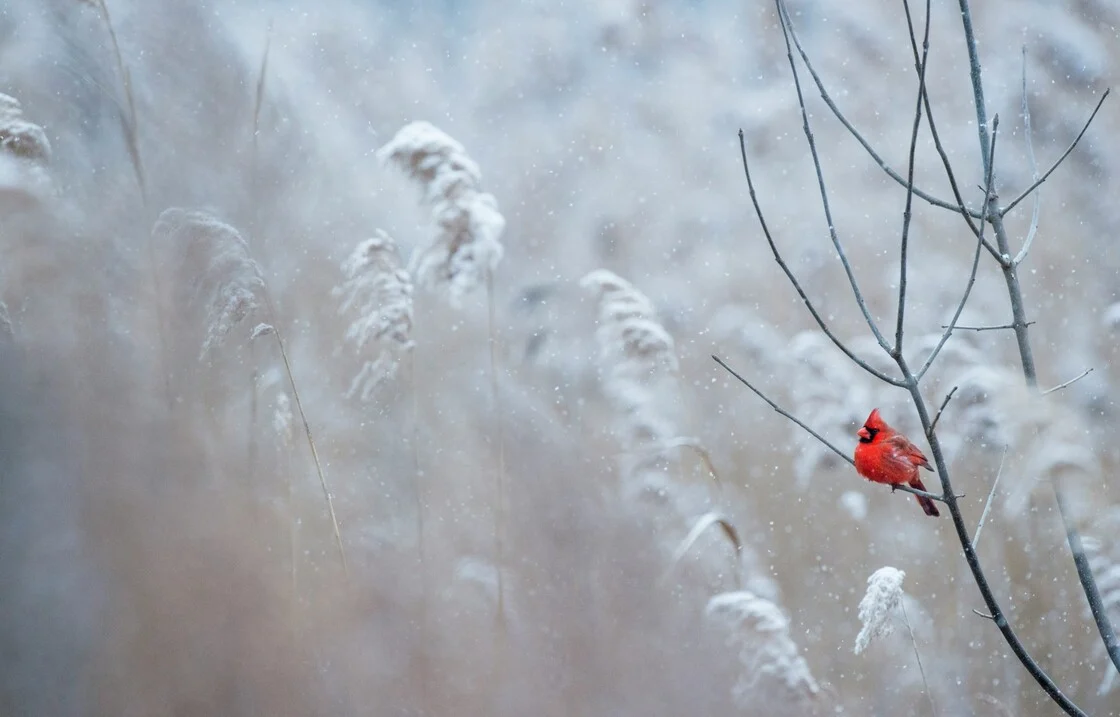 Αλλάζει ο καιρός την Πρωτοχρονιά