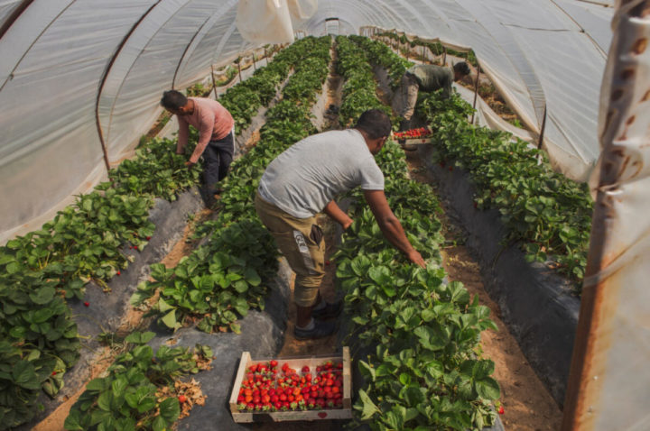 Αυτοκτόνησε στο Καπελέτο 30χρονος εργάτης γης