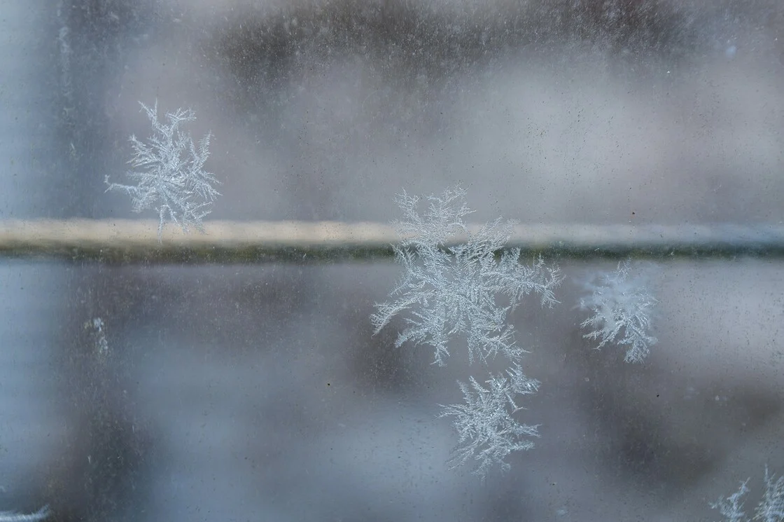 Καιρός – Τσατραφύλλιας: Έρχεται σκανδιναβικό ψύχος την Πρωτοχρονιά