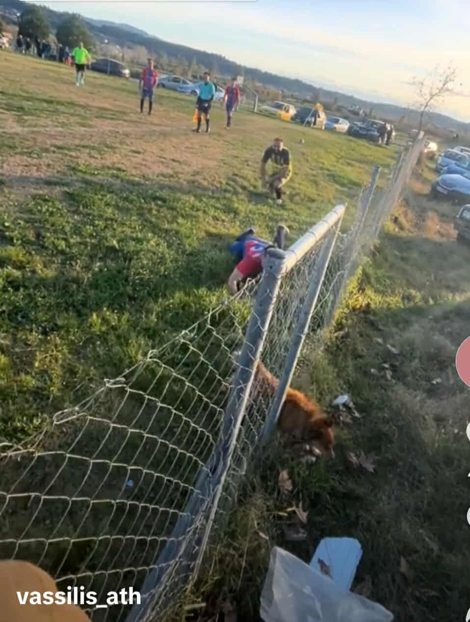 Απίθανο κυνηγητό σκύλου σε αγώνα στον Πλάτανο (video)