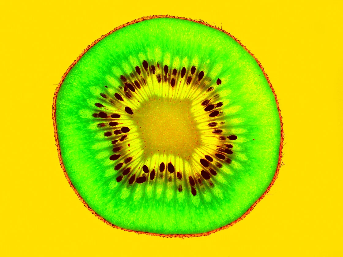 Γενετικά τροποποιημένα φυτά – Οι καταναλωτές δεν θα γνωρίζουν τι τρώνε και οι αγρότες τι καλλιεργούν