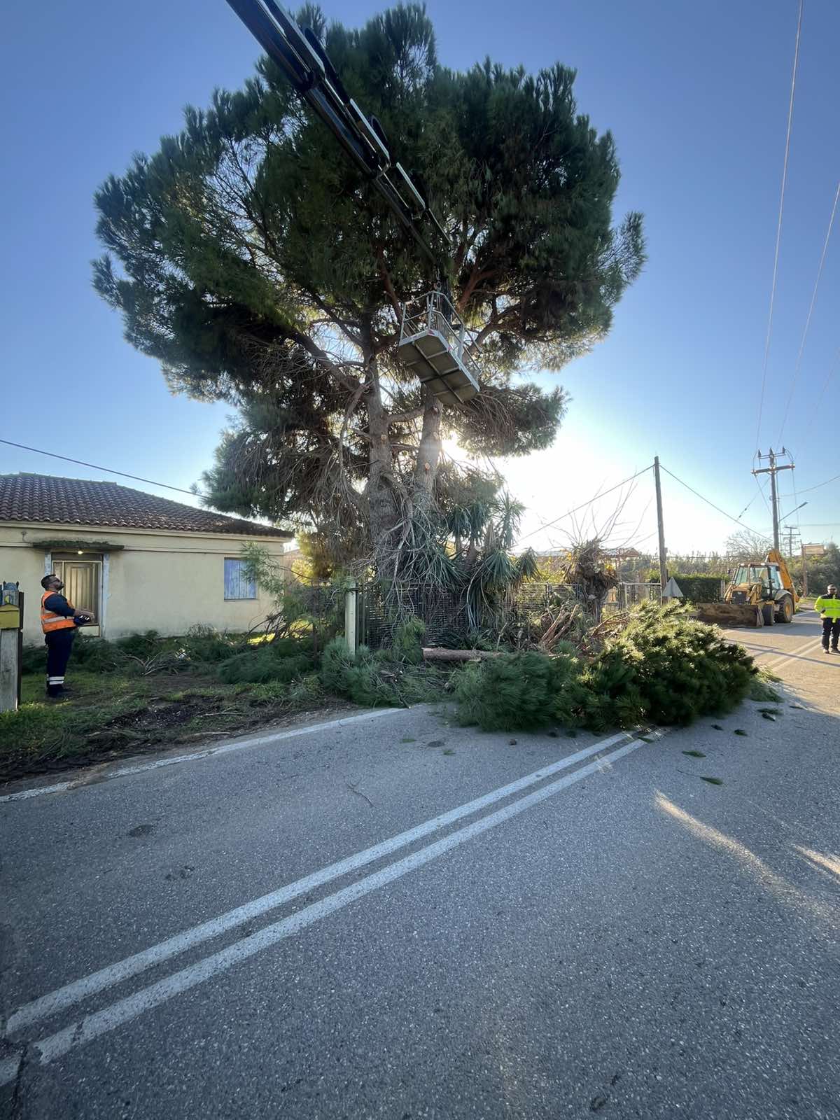 Π.Ε. Ηλείας: Παρεμβάσεις κοπής επικίνδυνων δέντρων στο οδικό δίκτυο της Ηλείας για την ενίσχυση της οδικής ασφάλειας