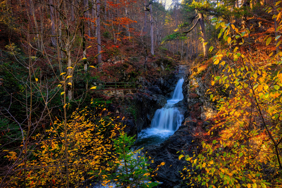 Καιρός: Απότομη αλλαγή σήμερα – Χωρίς ψύχος έως 15 Ιανουαρίου
