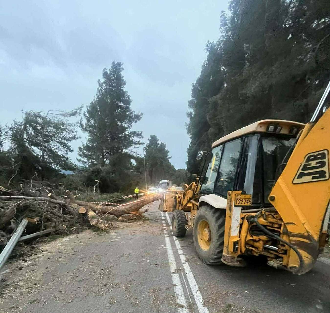 Ηλεία: Πτώσεις δέντρων και διακοπές ρεύματος λόγω θυελλωδών ανέμων