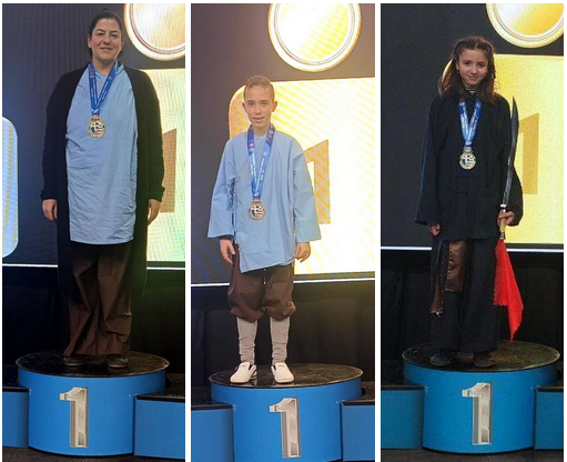 Α.Σ. Σαολίν Πύργου Φοίνικας: Διακρίσεις στο Πανελλήνιο Πρωτάθλημα WUSHU KUNG FU