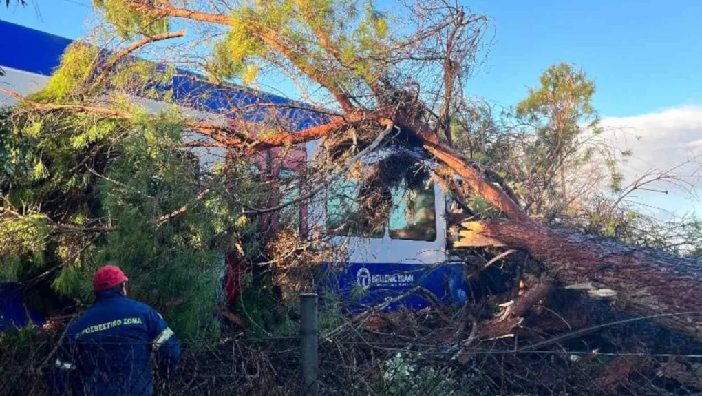 Ηλεία: Πεύκο έπεσε σε τρένο – Στο νοσοκομείο ο μηχανοδηγός