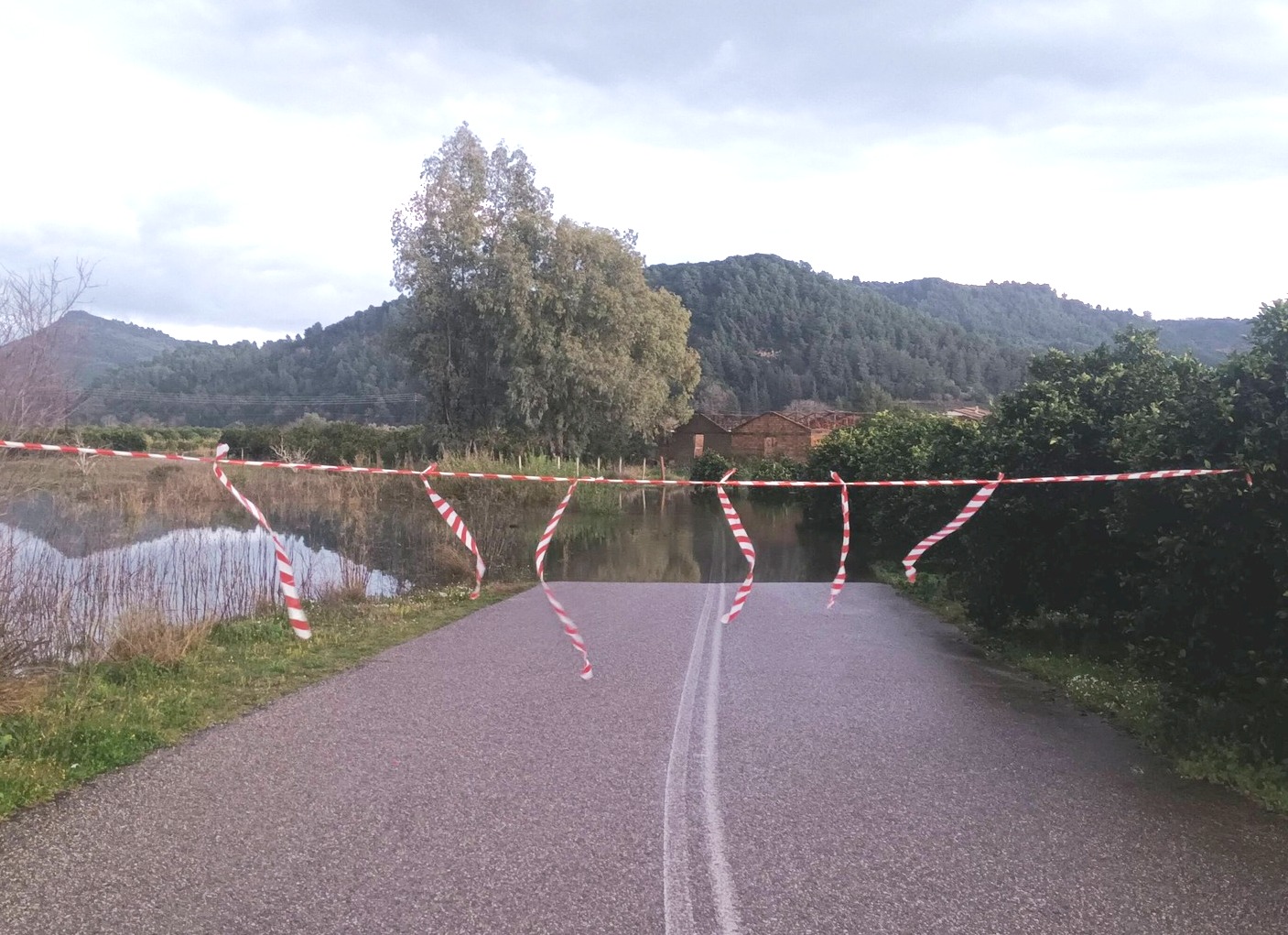 Δήμος Ανδρίτσαινας-Κρεστένων: Ματαίωση μεταφοράς μαθητών λόγω εκτεταμένων πλημμυρών