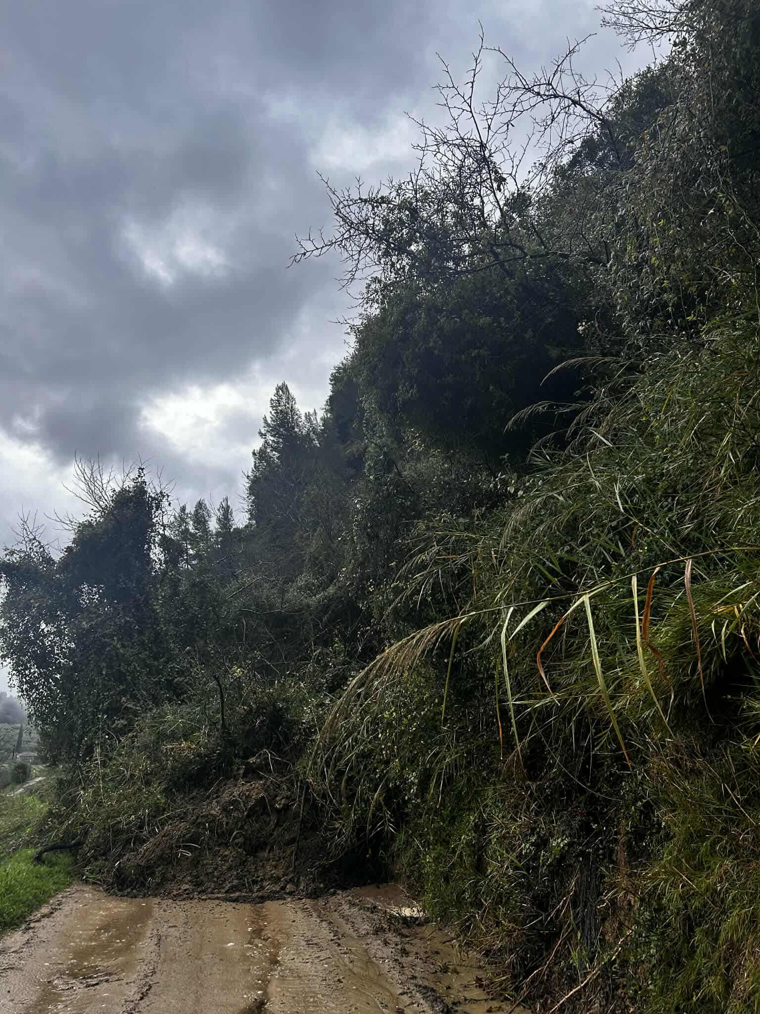 Κατολισθήσεις και κλειστοί δρόμοι στην Ώλενα – Έκκληση για άμεση παρέμβαση