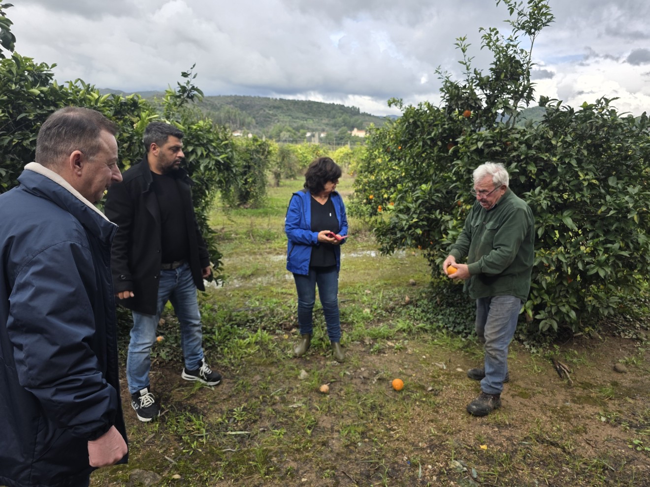 Επίβλεψη και έλεγχος ζημιών από τον ΕΛΓΑ στην Δημοτική Ενότητα Αρχαίας Ολυμπίας