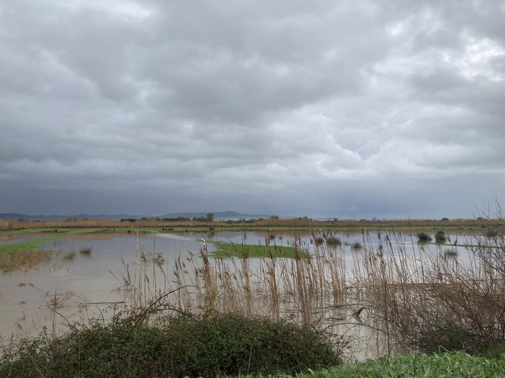 Λίμνη Μουριάς: Η λίμνη που επιστρέφει κάθε χειμώνα και το ερώτημα που μένει ανοιχτό (video)