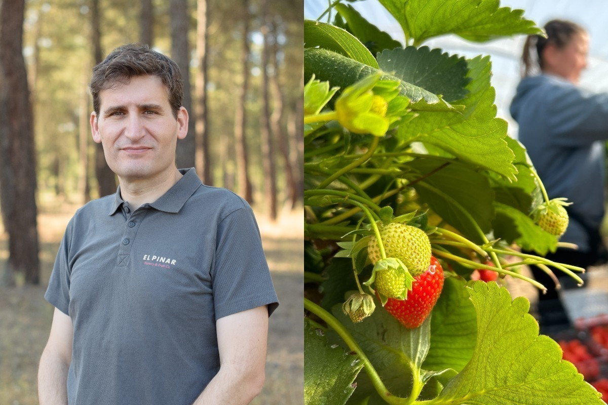 Ισπανική απόβαση στην Ηλεία: Η εξαγορά της Kyriazis από την El Pinar και τα σχέδια για επέκταση