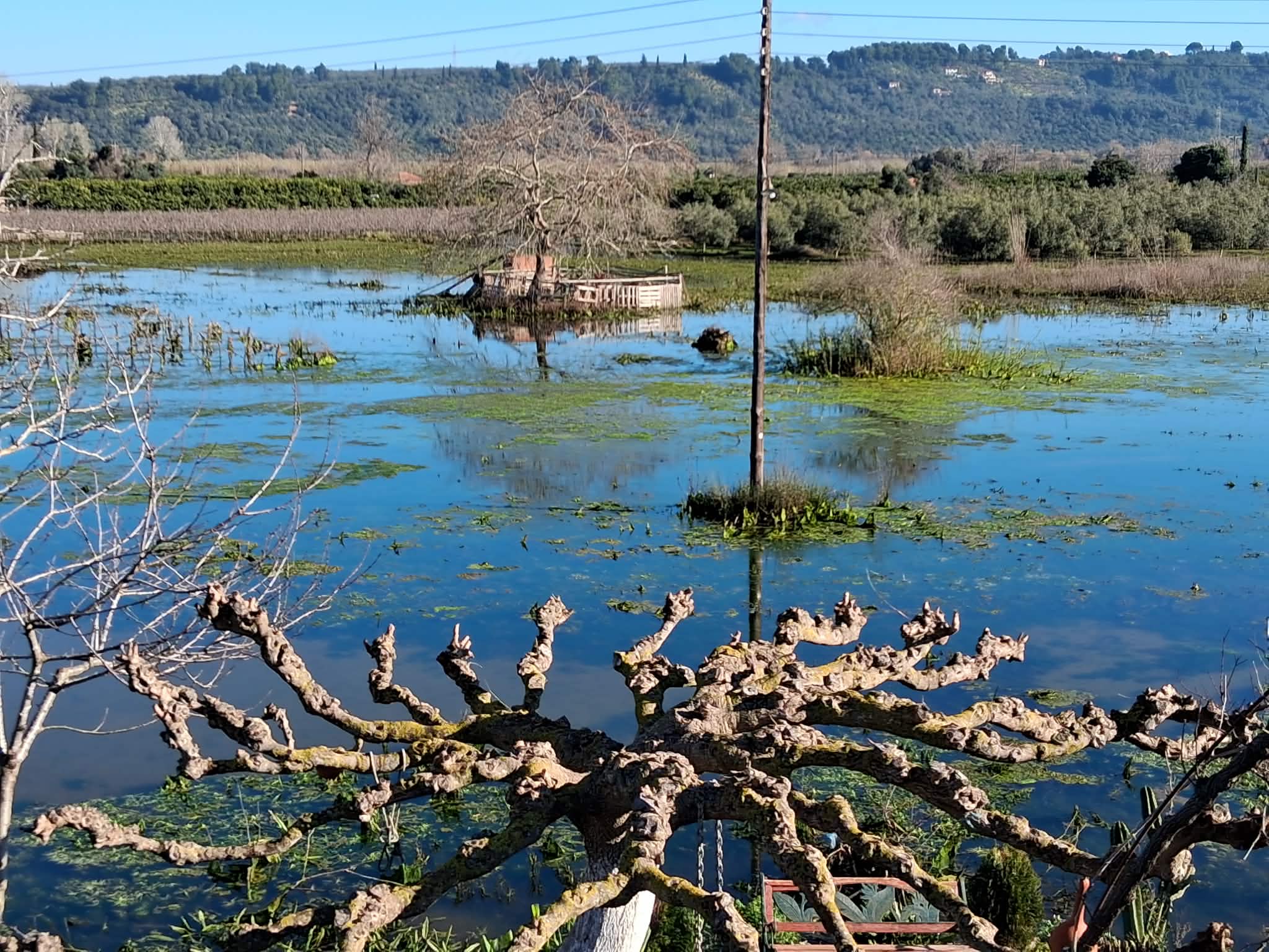 Στον «αέρα» οι καλλιέργειες στα Μακρίσια