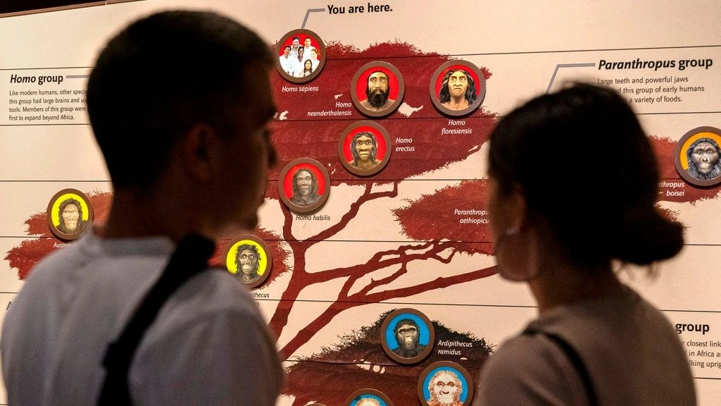 Στα ίχνη της προϊστορικής γαστρονομίας: Μελέτη αποκαλύπτει τι μαγείρευαν οι Ευρωπαίοι