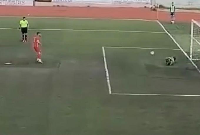 Η φάση της χρονιάς σε τοπικό της Αθήνας! (vid)