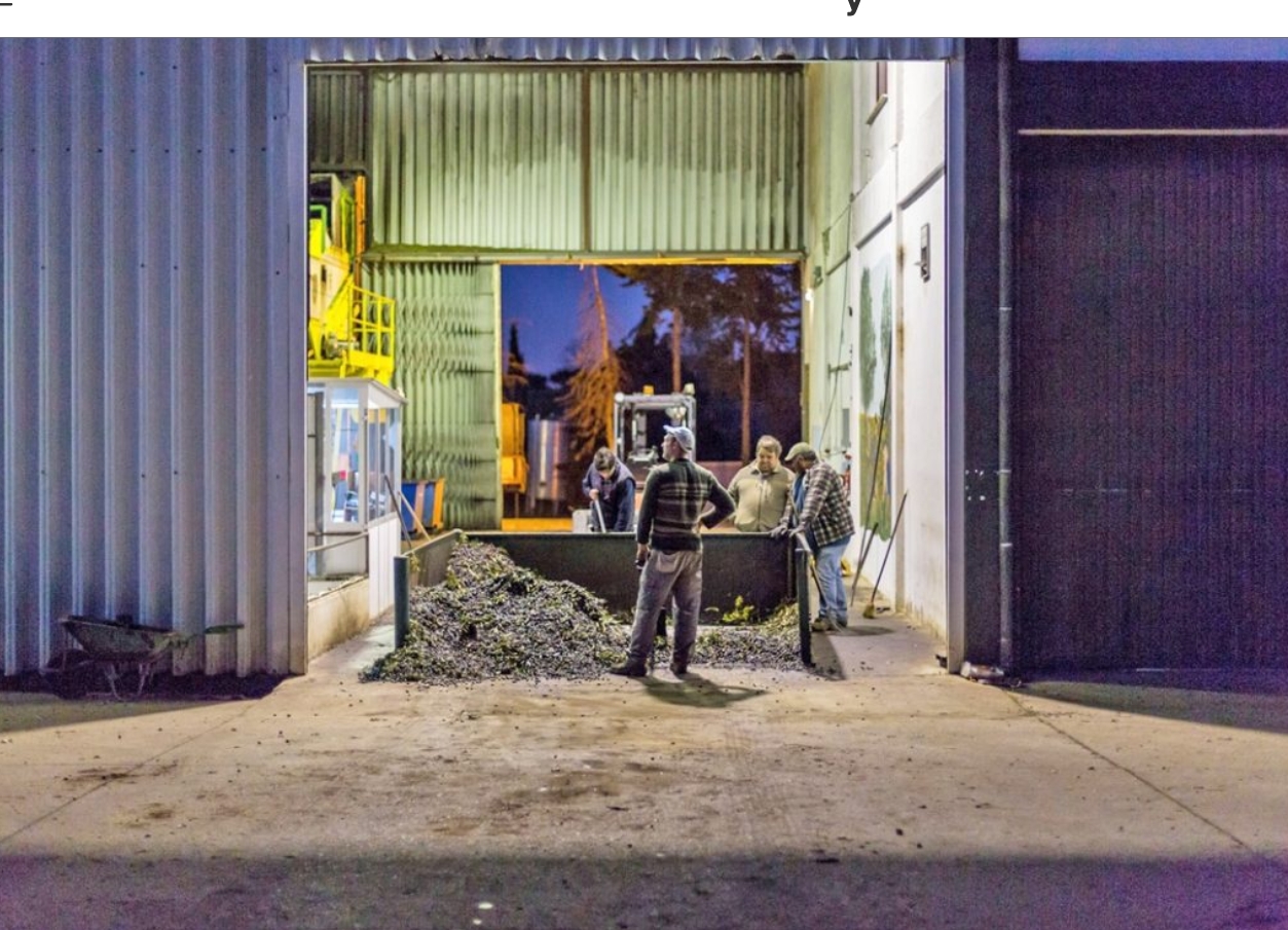 Ελαιόλαδο: Περιμένουν τους αγοραστές τους τα «καλά λάδια» προσδοκώντας υψηλότερες τιμές