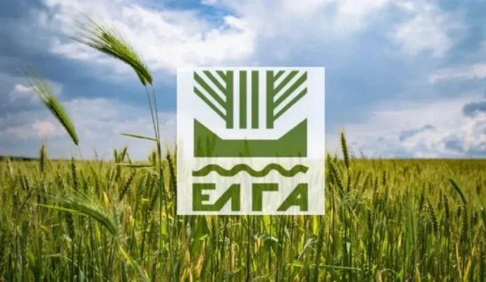 Αποζημιώσεις ΕΛΓΑ στο 100% της αξίας για τους παραγωγούς της Ηλείας