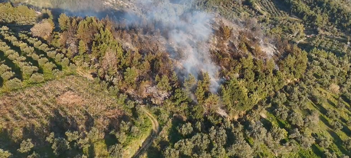 Πυρκαγιά έκαψε 50 στρέμματα δάσους στον Ελαιώνα