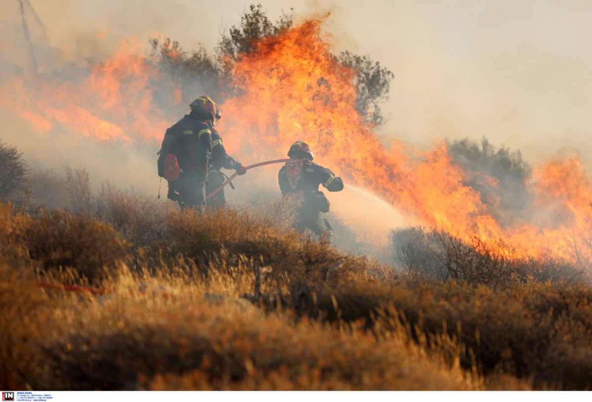 ΕΕ: Νέα στρατηγική για την αντιμετώπιση των δασικών πυρκαγιών – Επιπλέον αεροσκάφη και προληπτική τοποθέτηση πυροσβεστών