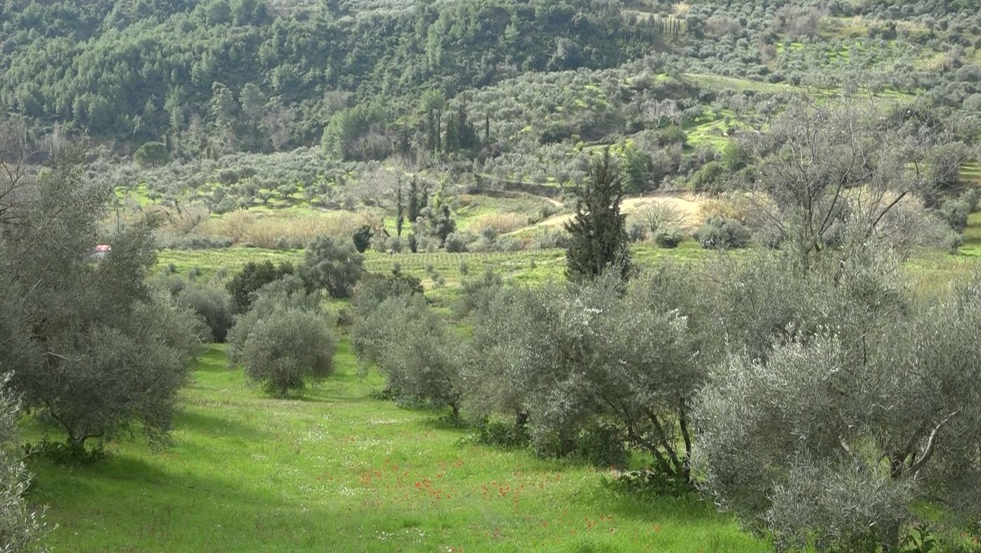 T.K. Περιστερίου: Στα δικαστήρια για τις «ιερές εκτάσεις»